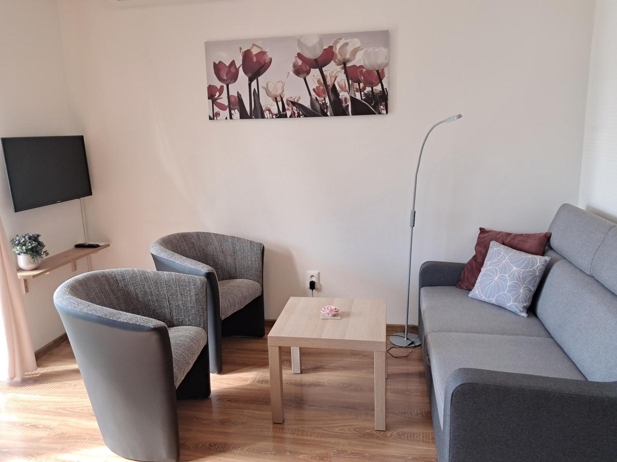 Apartmany Rubin Nesvady エクステリア 写真